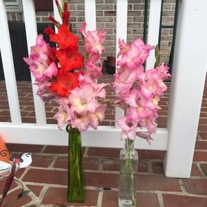 Meet your Posher, Christy